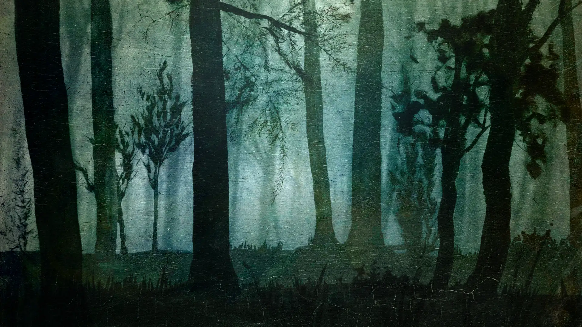 A misty, illustrated forest